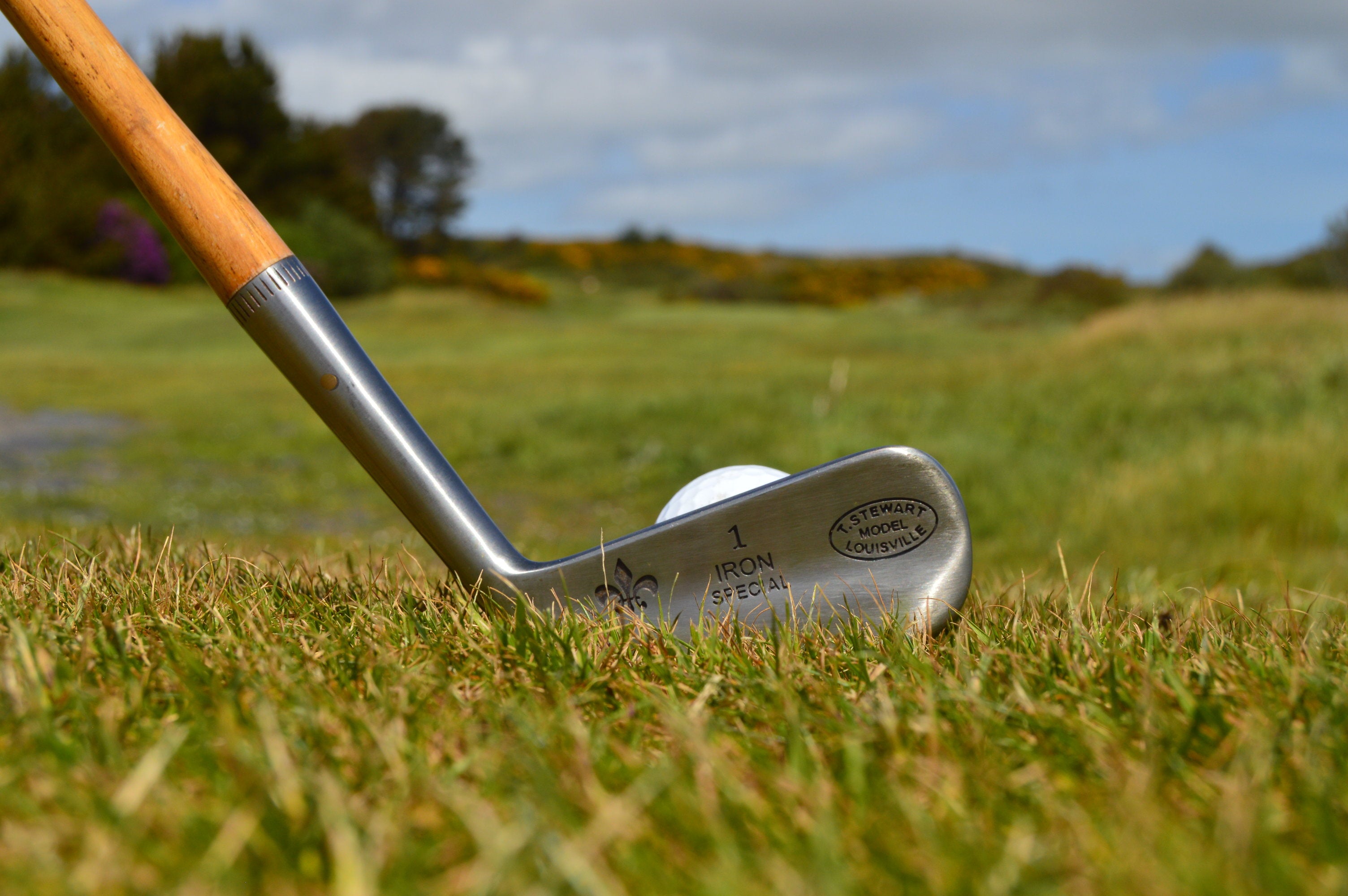Shop Classic Wooden Shafted Hickory Clubs, Balls and Vintage