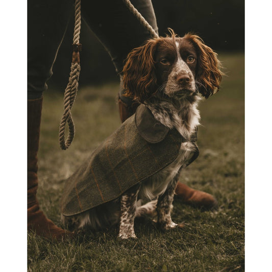 Derby Tweed Dog Jacket - Five Colors